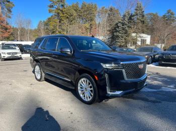  Salvage Cadillac Escalade