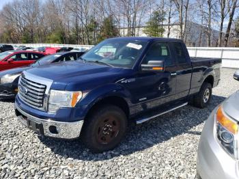  Salvage Ford F-150