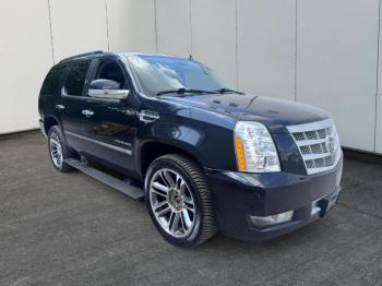  Salvage Cadillac Escalade