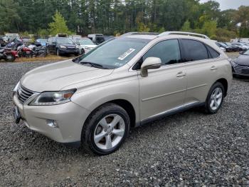  Salvage Lexus RX