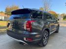 Hyundai PALISADE Sel Image 6