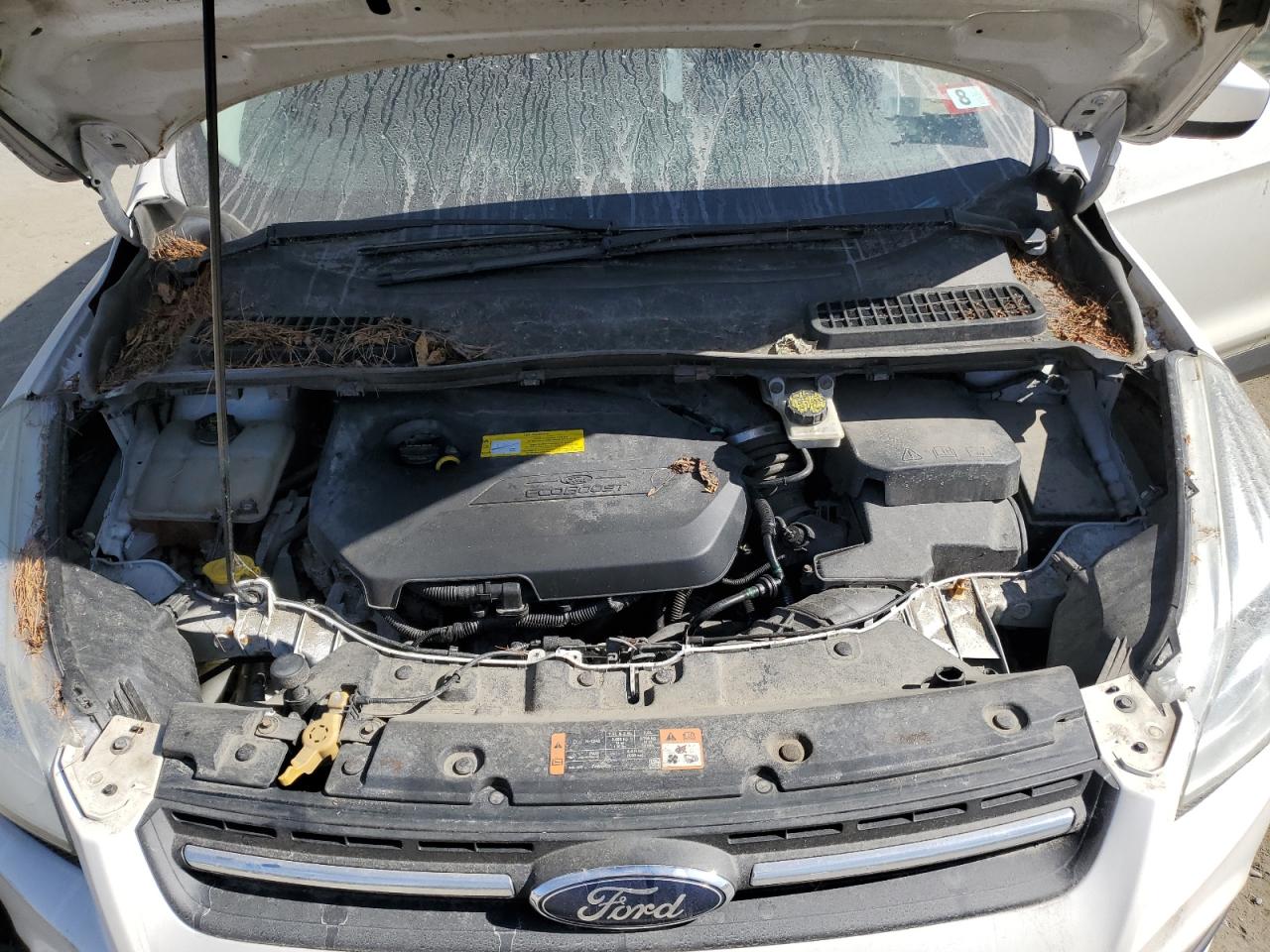 Ford Escape Se Image 11