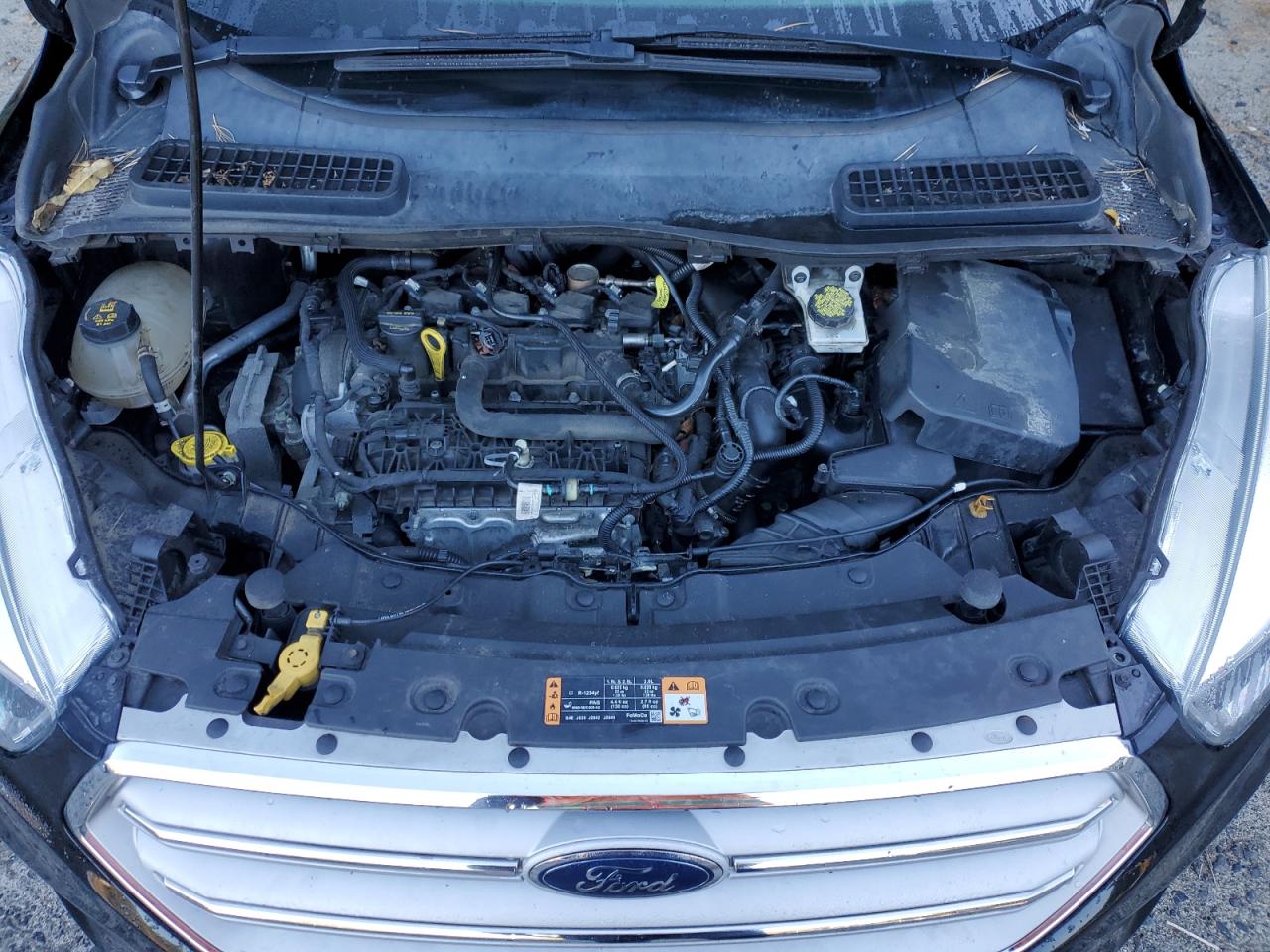 Ford Escape Se Image 10