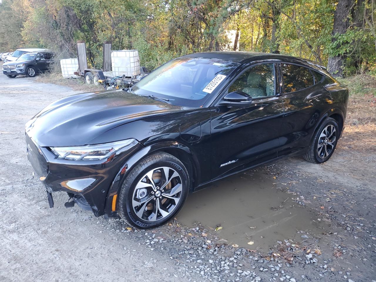 Ford Mustang Premium Image 1