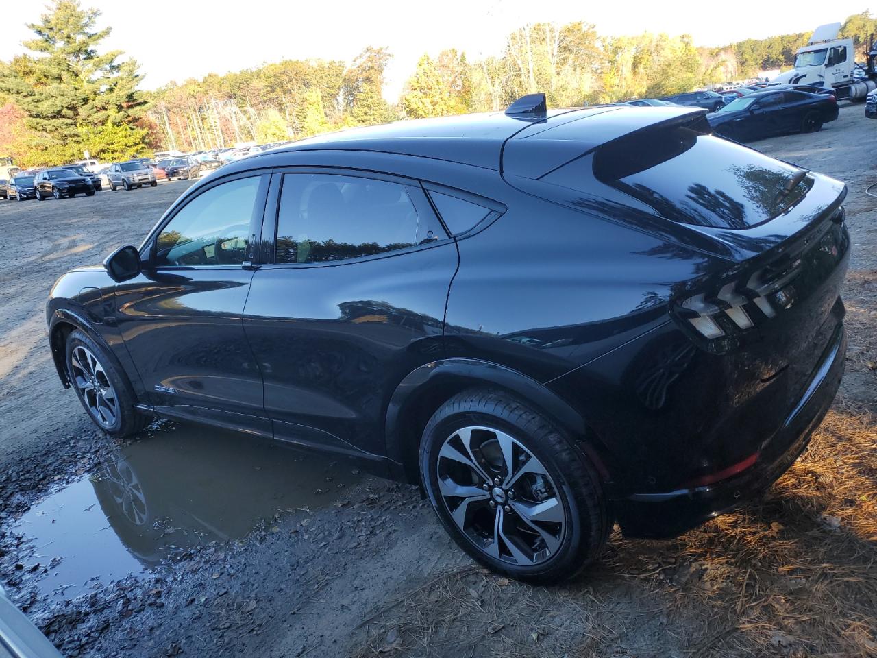 Ford Mustang Premium Image 8