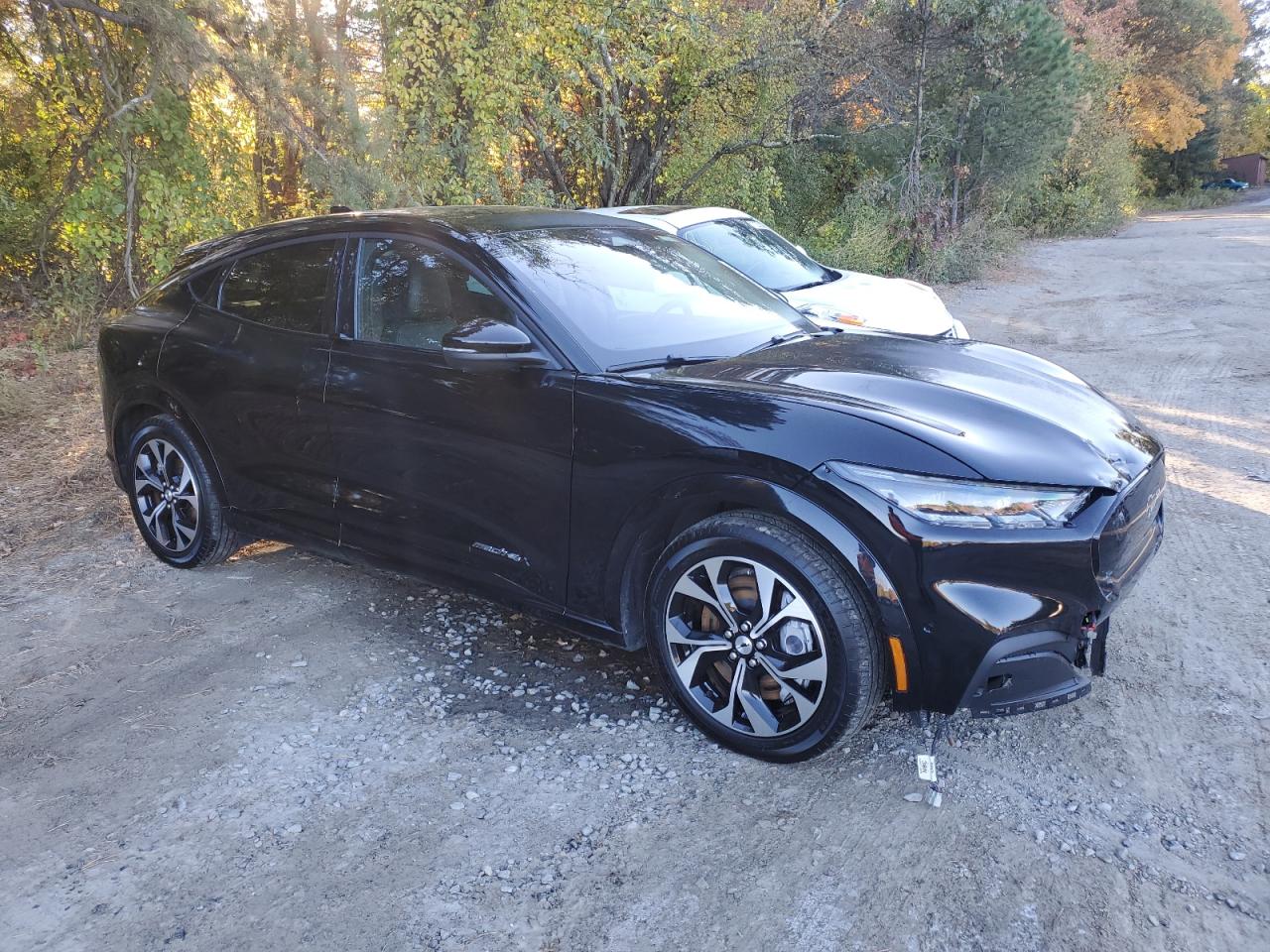 Ford Mustang Premium Image 5