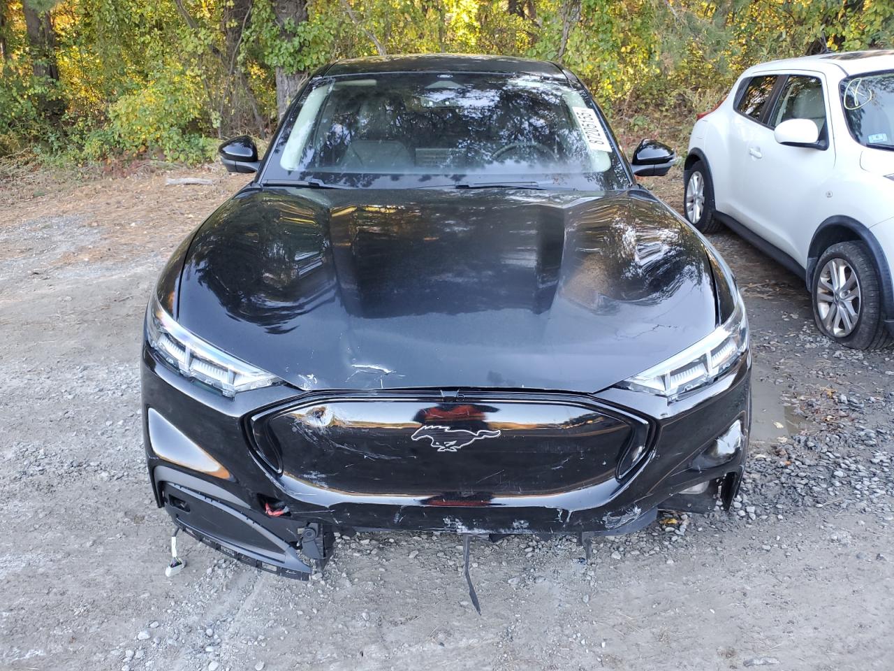 Ford Mustang Premium Image 12