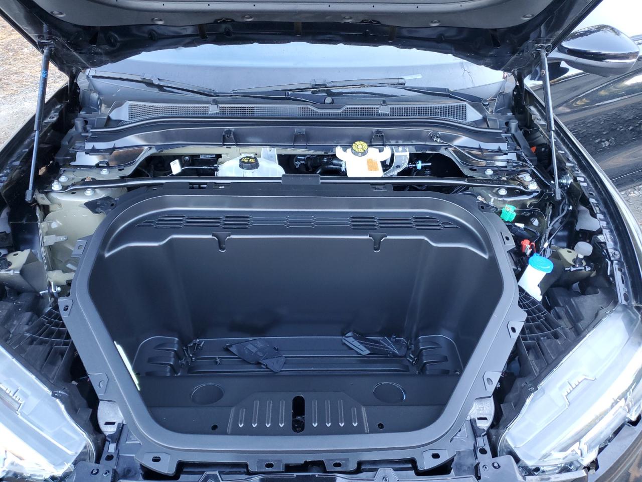 Ford Mustang Premium Image 7