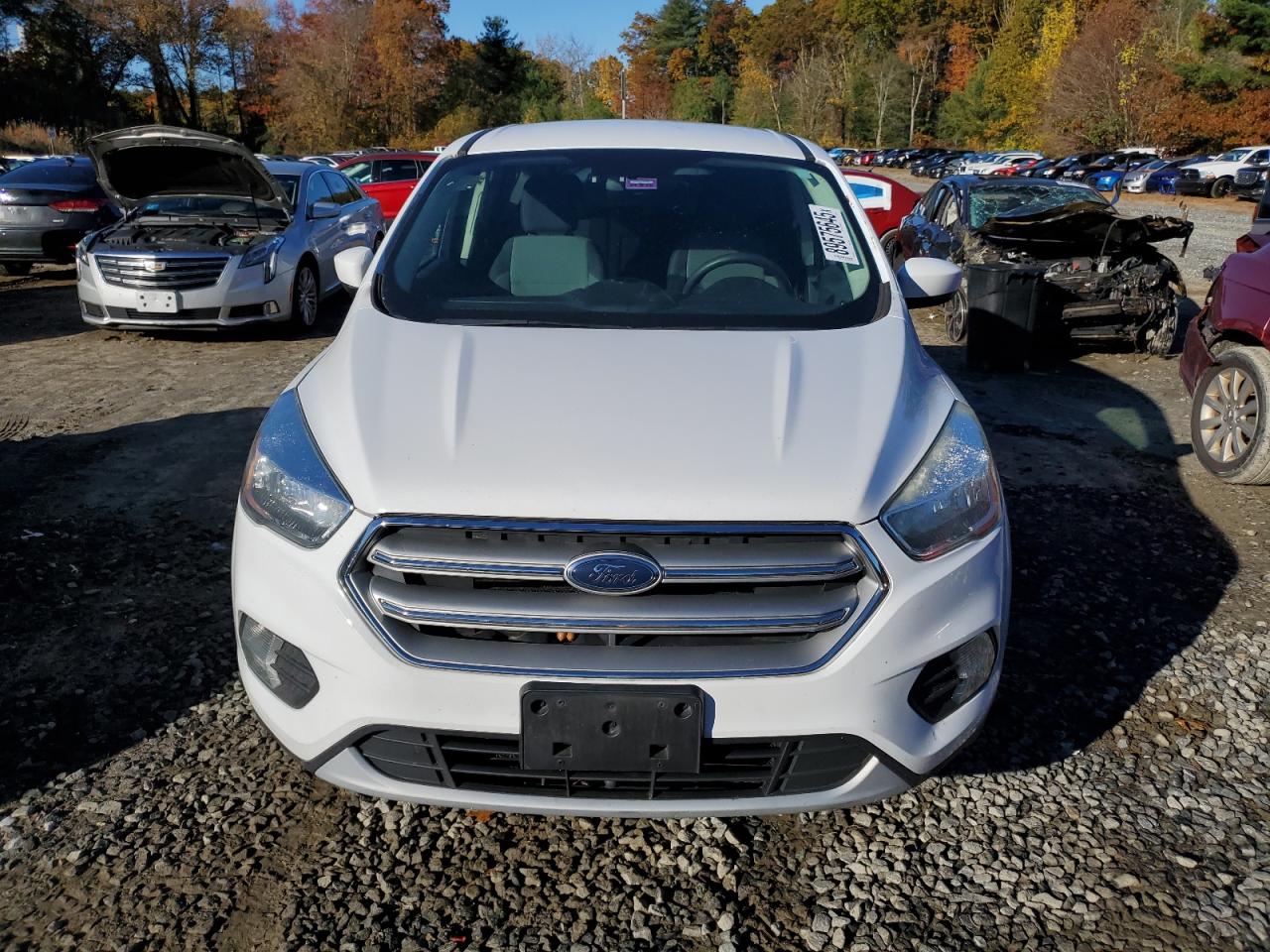 Ford Escape Se Image 2