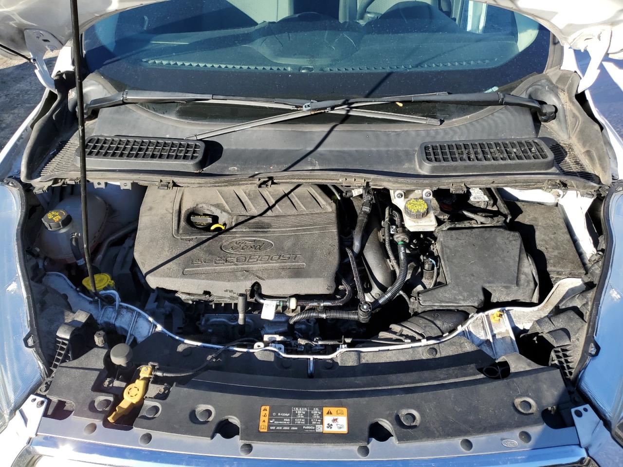 Ford Escape Se Image 7