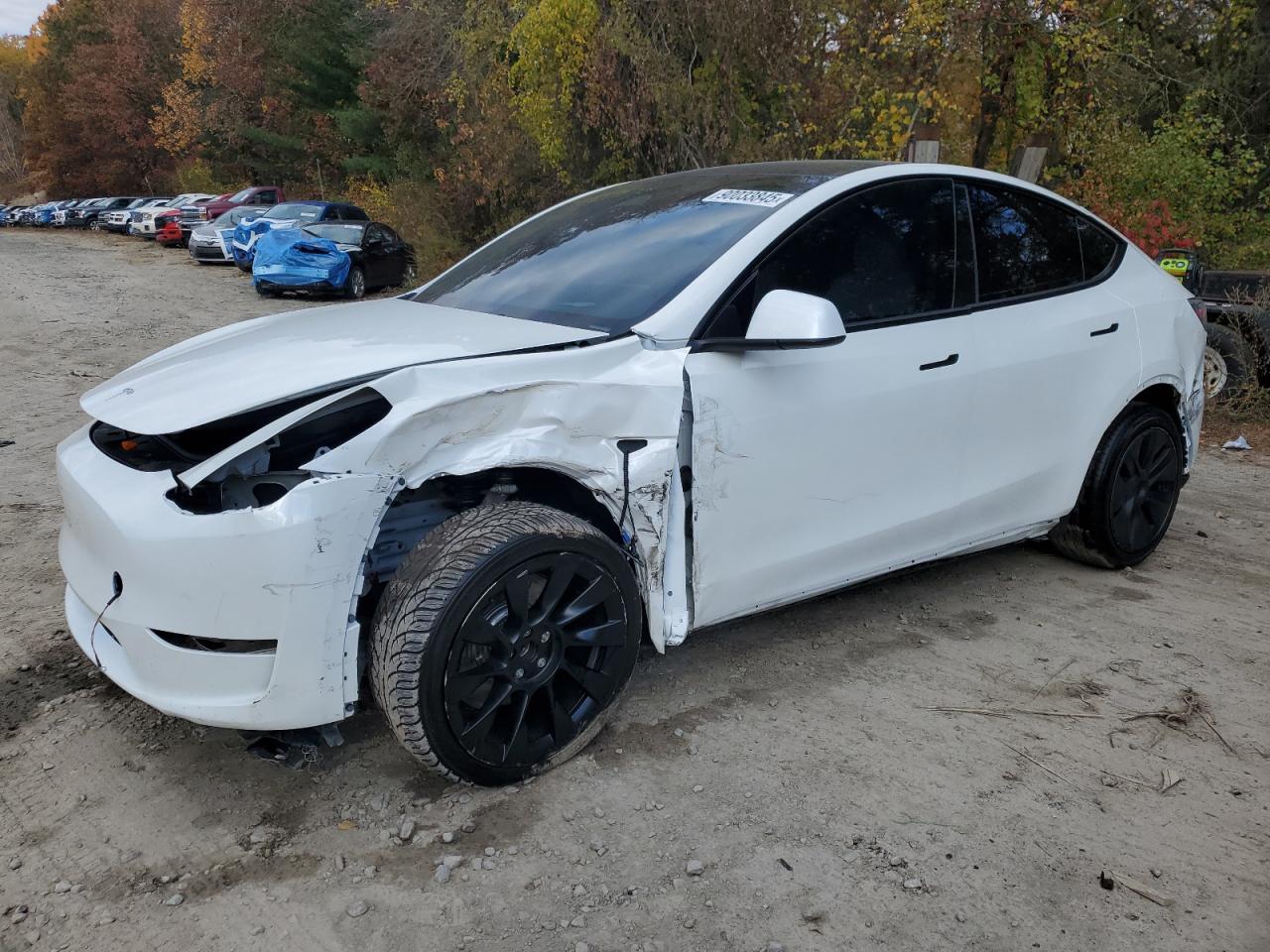 Tesla Model Y Image 1