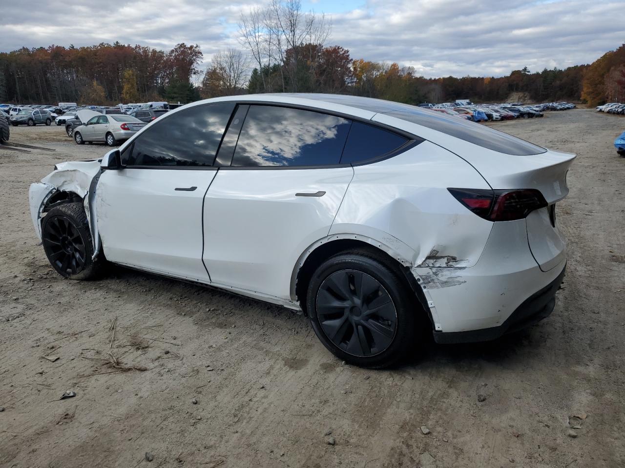 Tesla Model Y Image 3