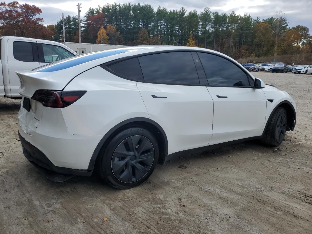 Tesla Model Y Image 12