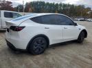 Tesla Model Y Image 12