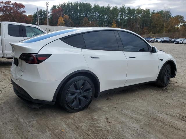 Tesla Model Y Image 12