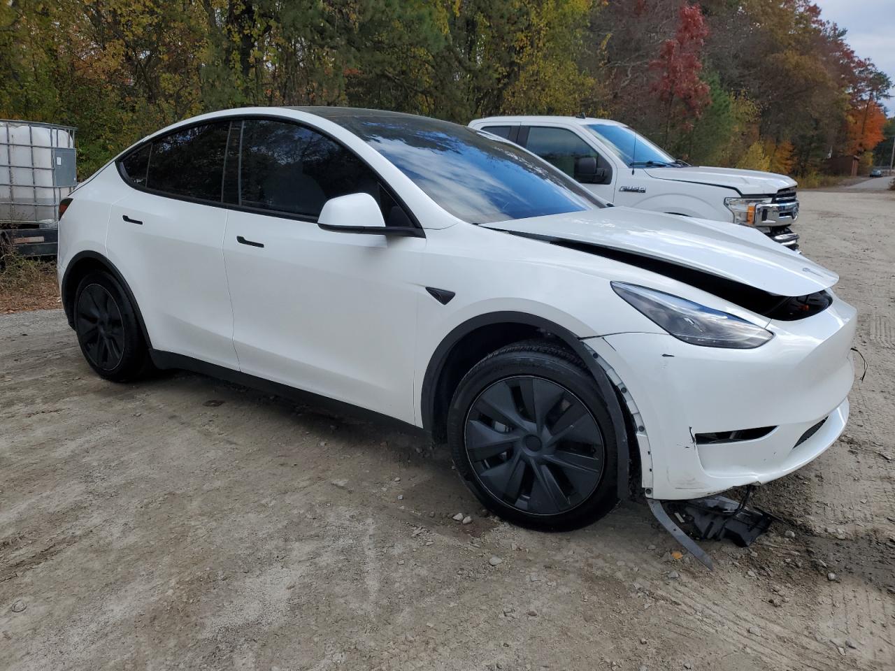 Tesla Model Y Image 6