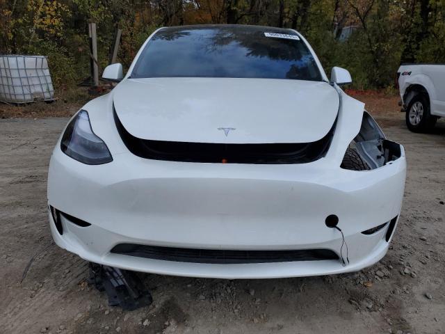 Tesla Model Y Image 7