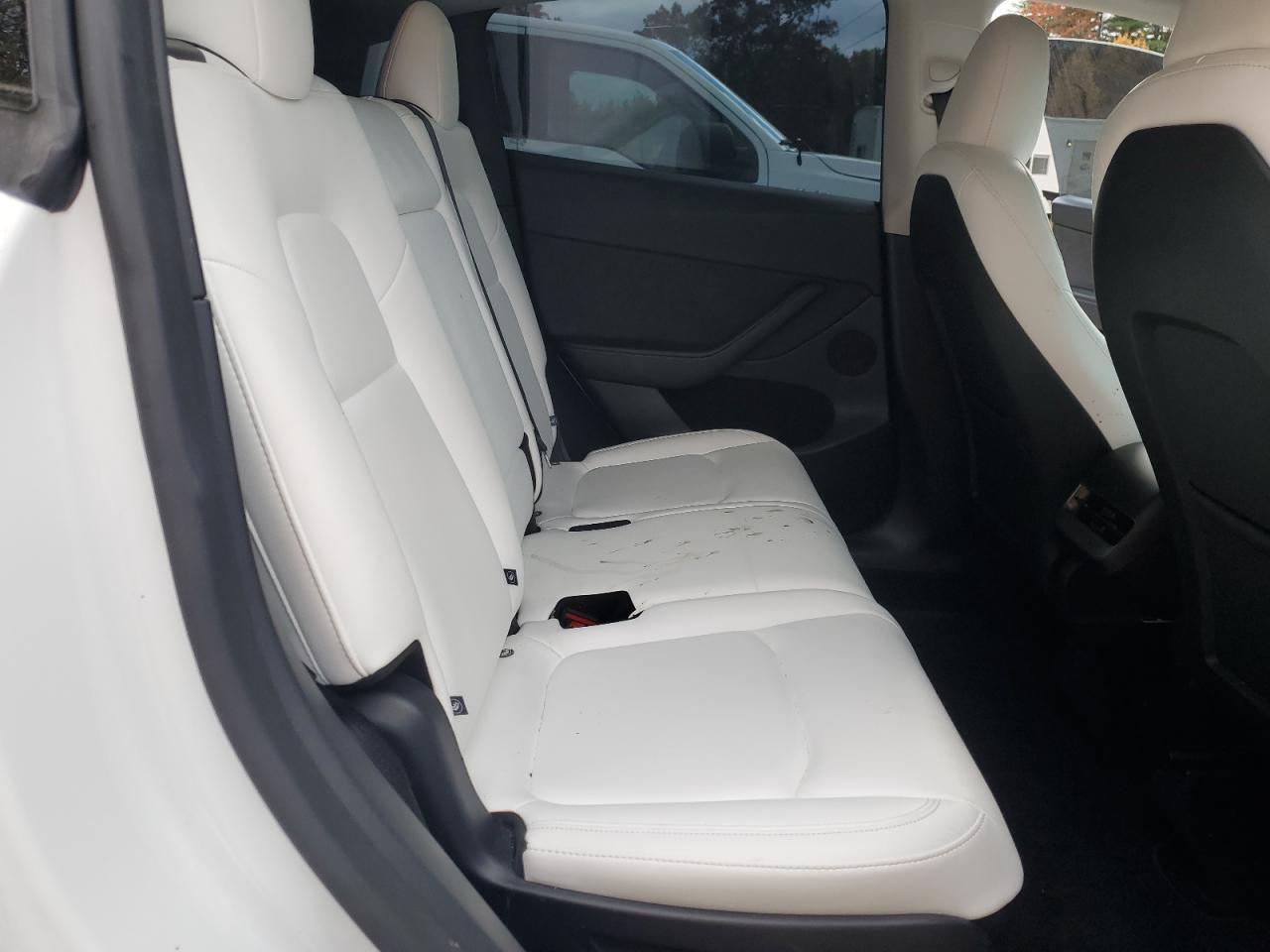 Tesla Model Y Image 5