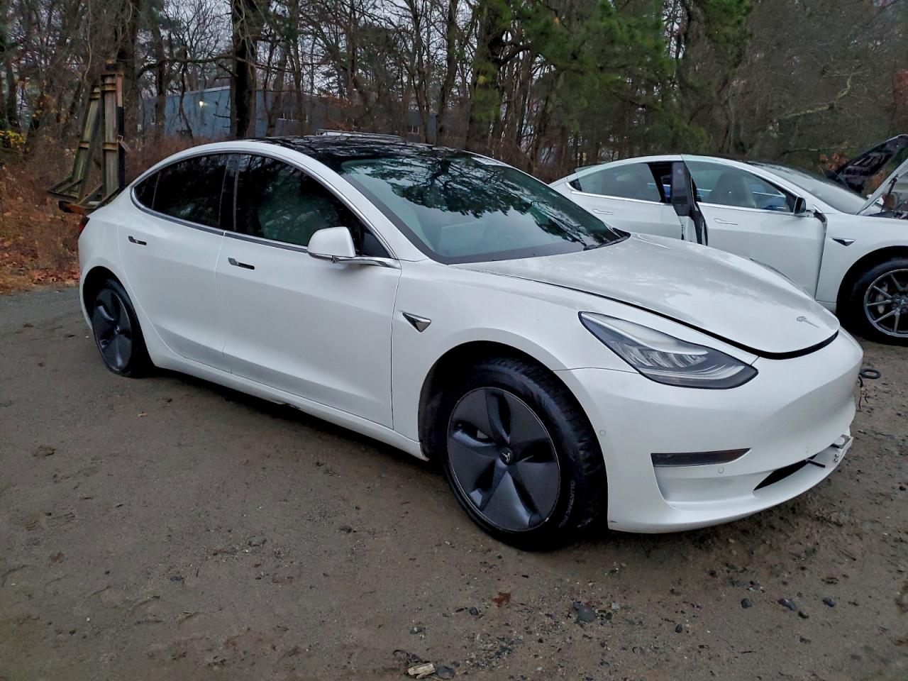 Tesla Model 3 Image 11