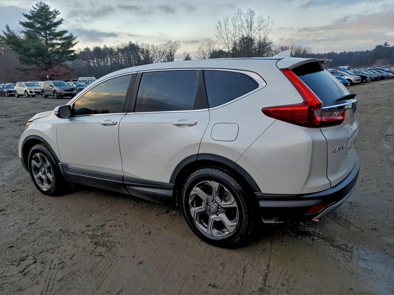 Honda Crv Ex Image 3