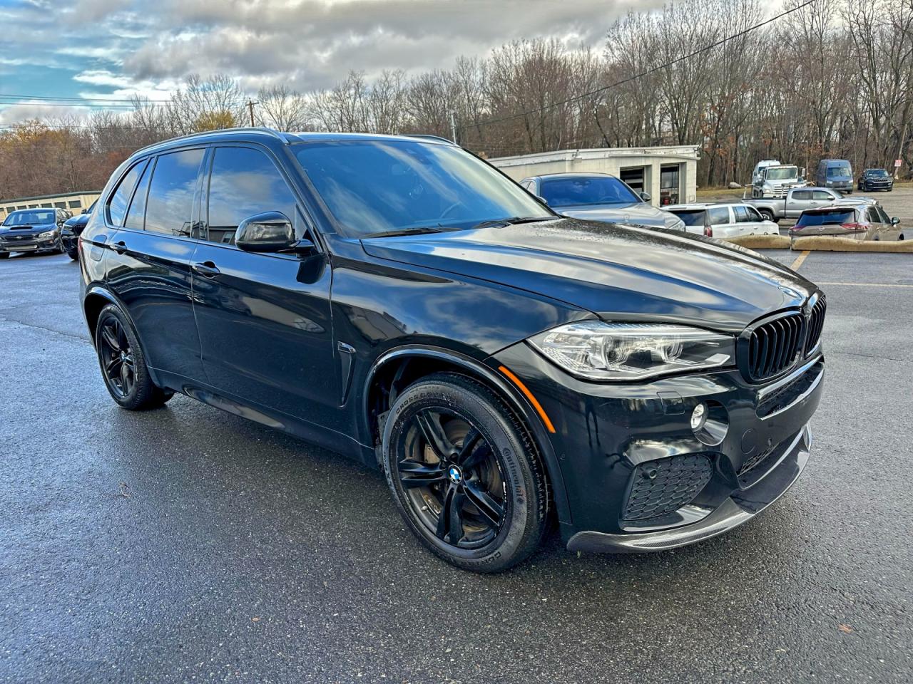 BMW X Series Xdrive50i Image 4