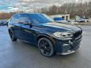 BMW X Series Xdrive50i Image 4