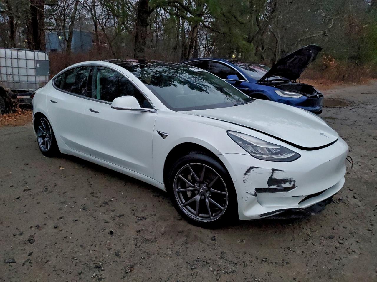 Tesla Model 3 Image 5