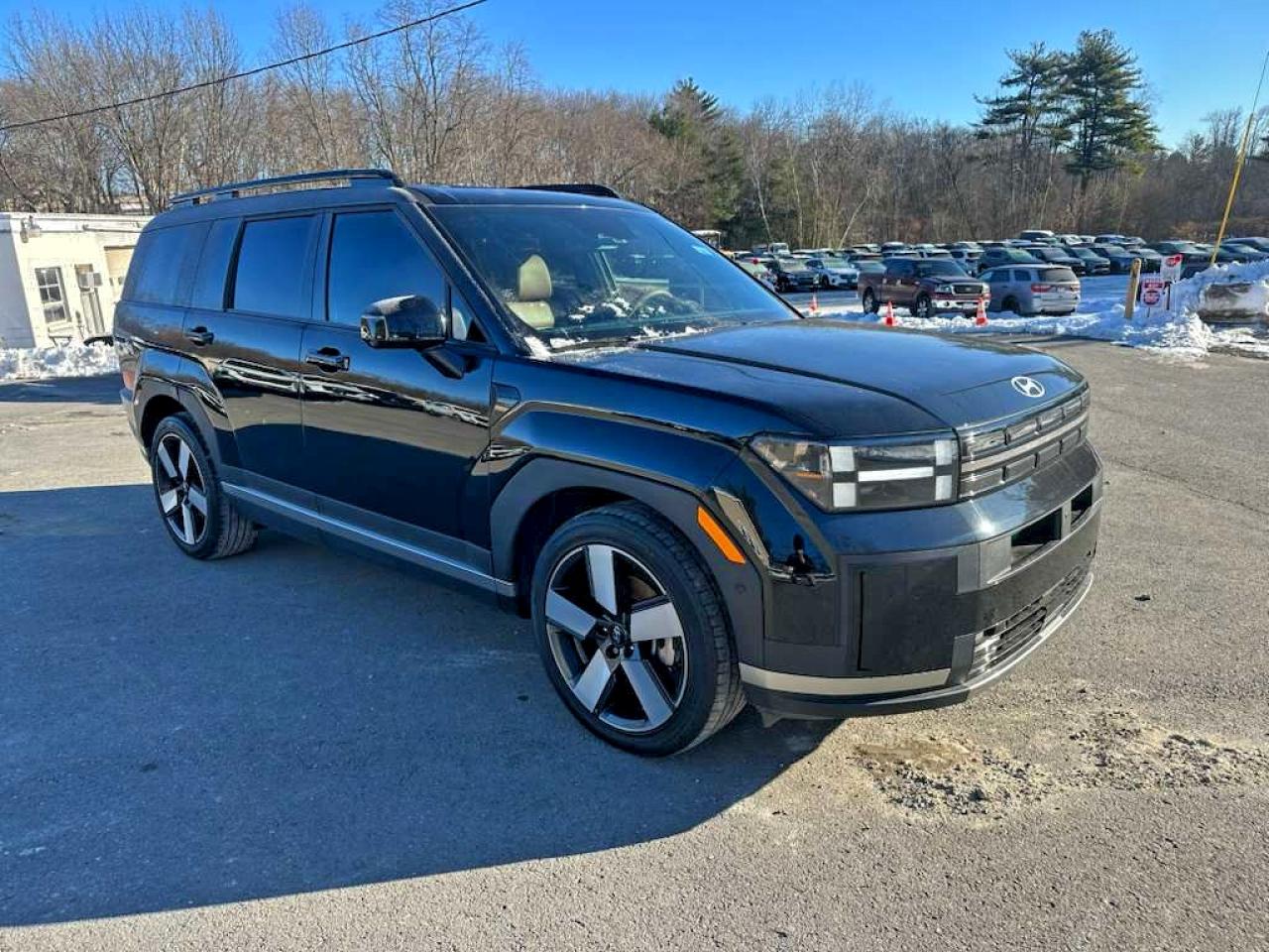 Hyundai SANTA FE Limited Image 3