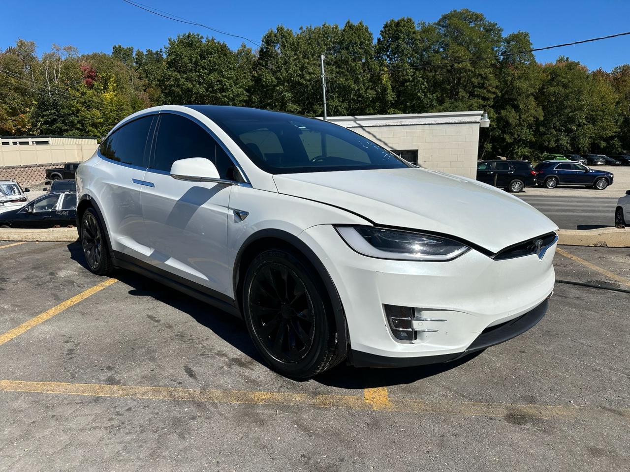 Tesla Model X Image 2