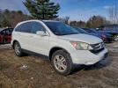 Honda Crv Exl Image 4