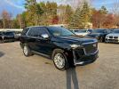 Cadillac Escalade Premium Luxury Image 5