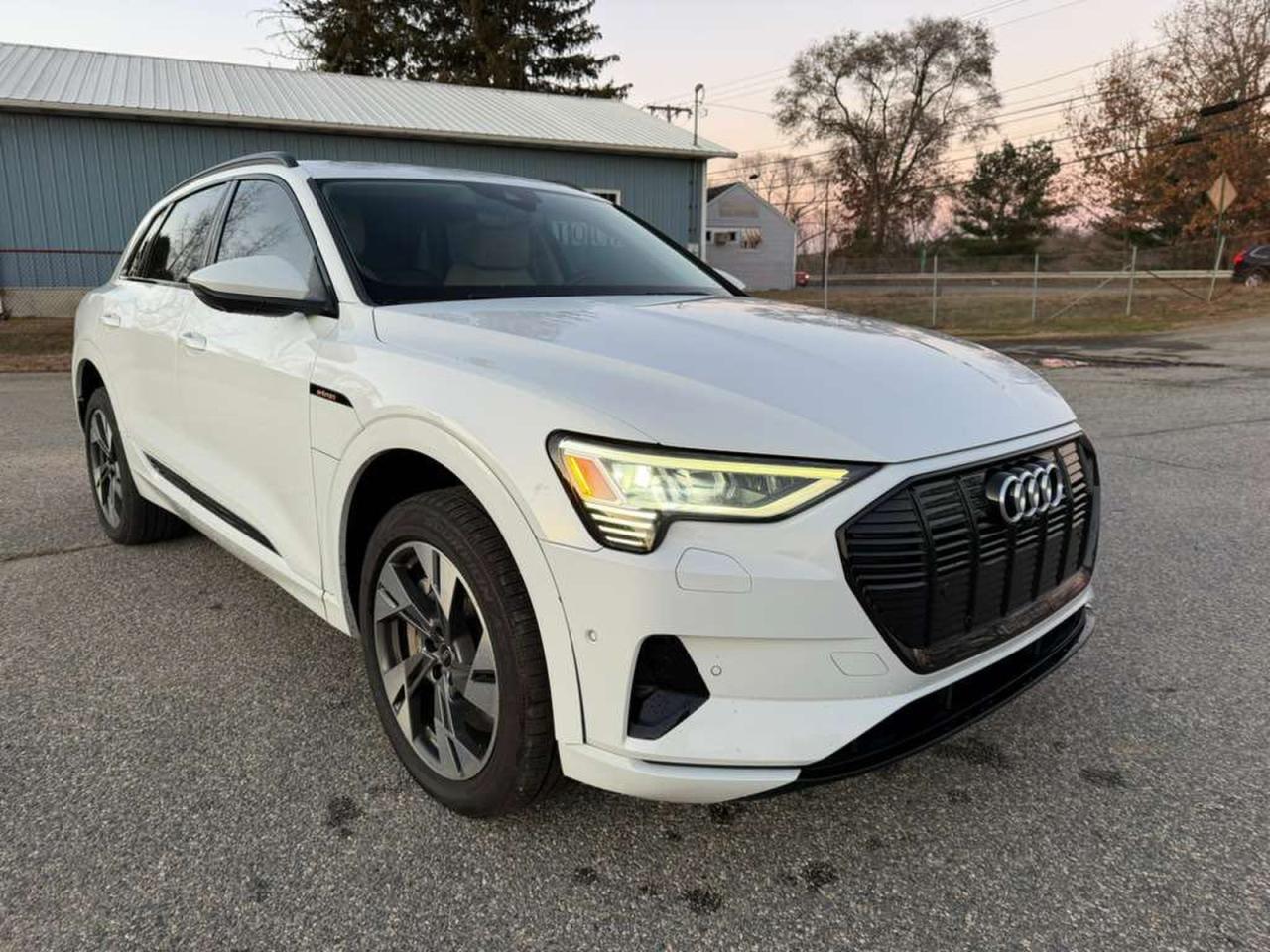 Audi e-tron Premium Image 14