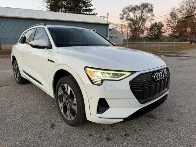 Audi e-tron Premium Image 14