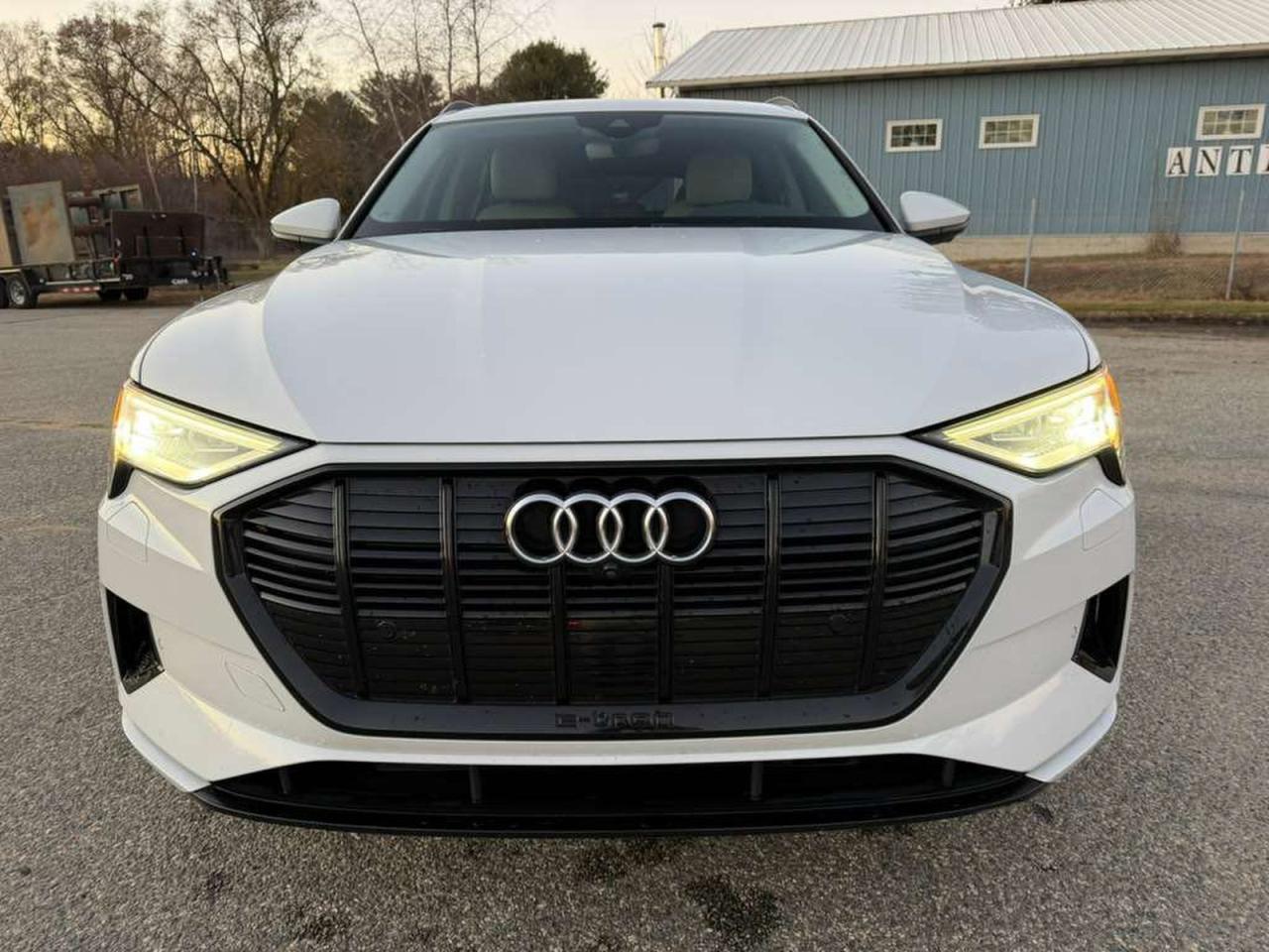Audi e-tron Premium Image 12