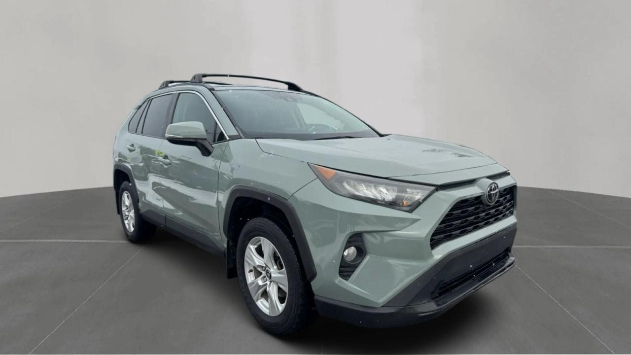 Toyota RAV4 Xle Image 1