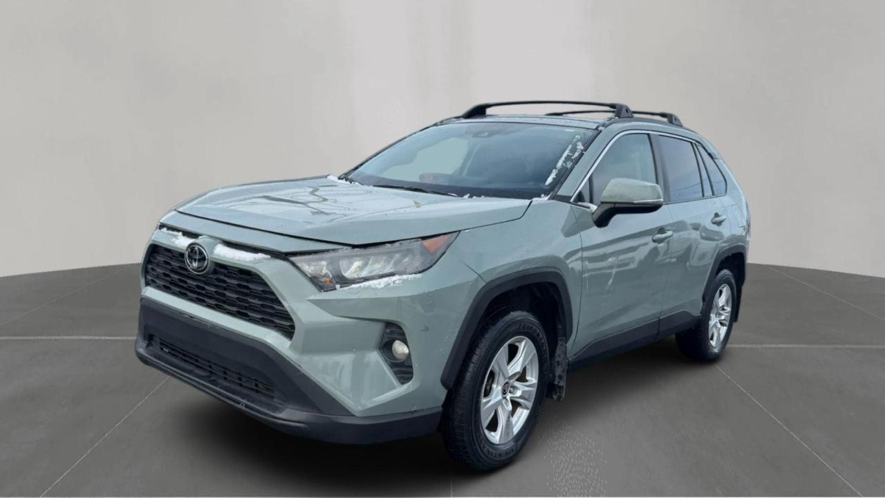 Toyota RAV4 Xle Image 7
