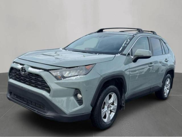 Toyota RAV4 Xle Image 7