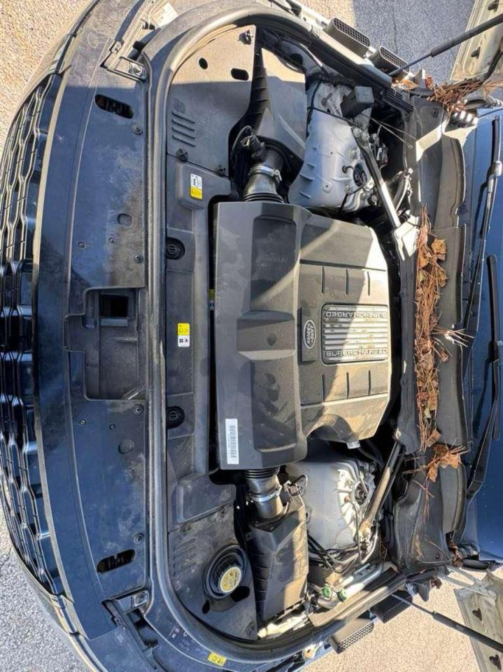 Land Rover Range Rover Hse Image 3