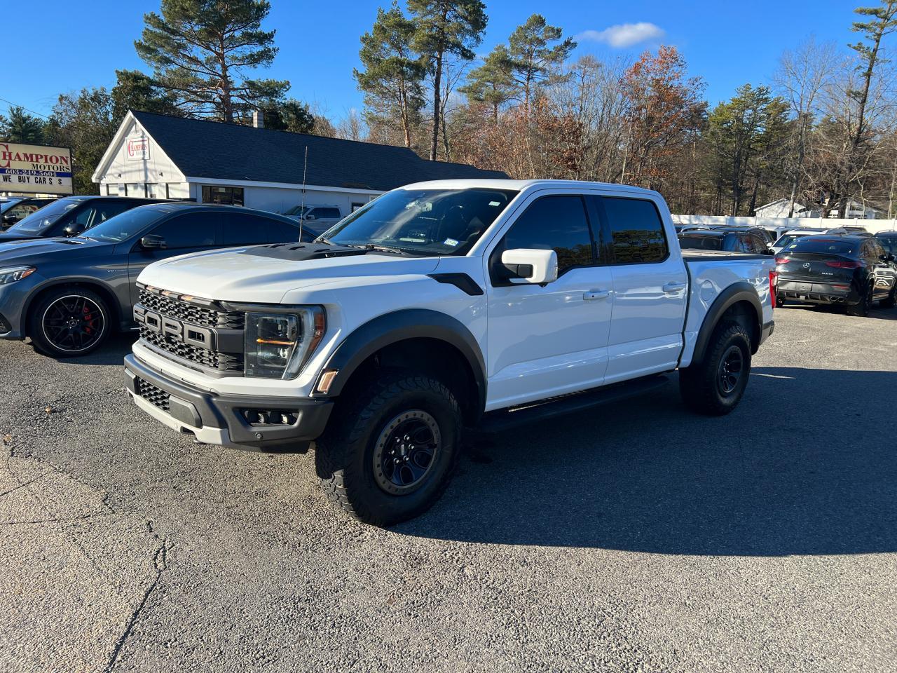 Ford F-150 Raptor Image 1