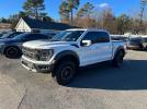 Ford F-150 Raptor Image 1