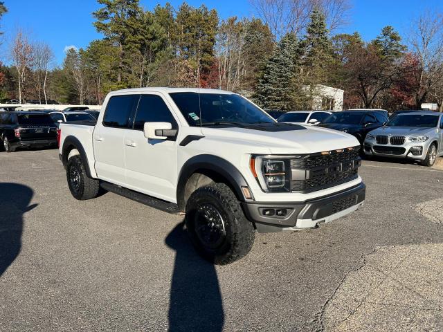 Ford F-150 Raptor Image 8