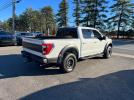 Ford F-150 Raptor Image 2
