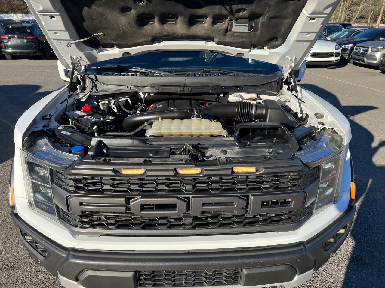 Ford F-150 Raptor Image 5