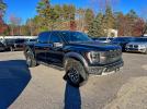 Ford F-150 Raptor Image 1