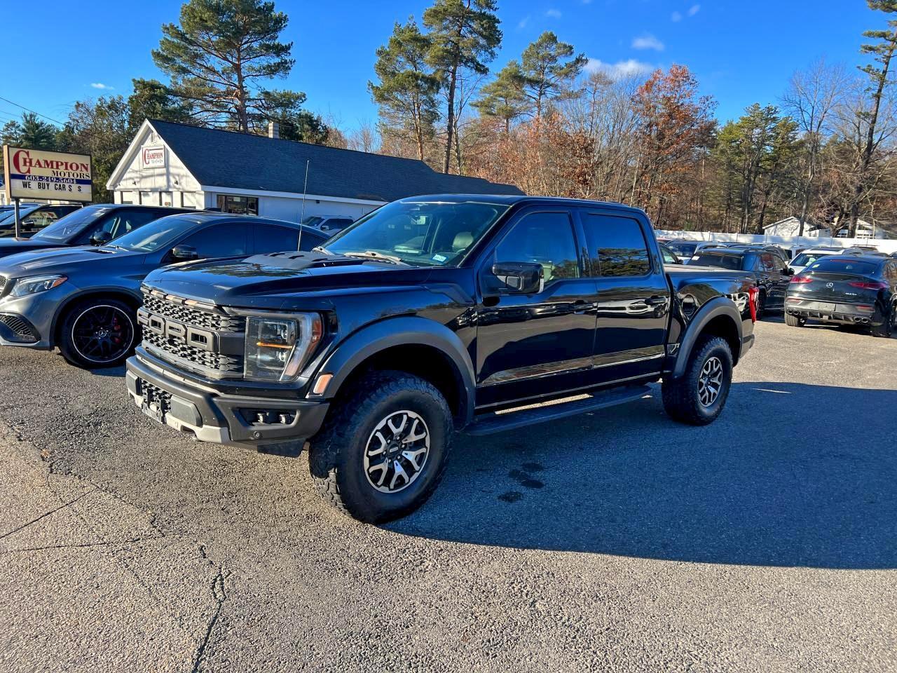 Ford F-150 Raptor Image 4