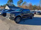 Ford F-150 Raptor Image 4