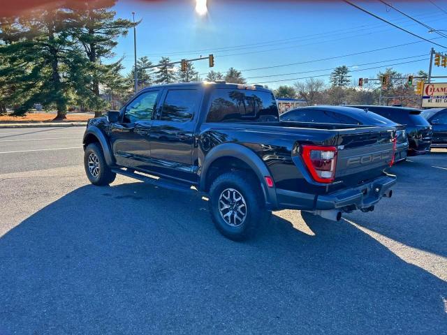 Ford F-150 Raptor Image 3