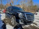 Cadillac Escalade Luxury Image 1